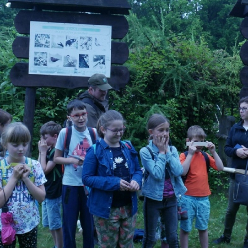 Dzieci w grupie stoją w lesie przed planszami z informacją.