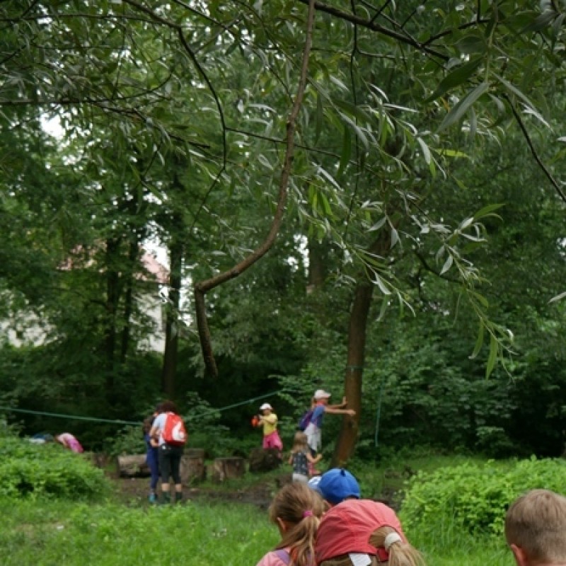 Dzieci idą po leśnej ścieżce na wycieczce.